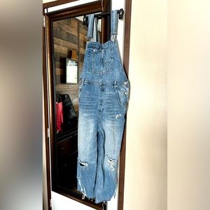 Free People We The Free Denim overalls